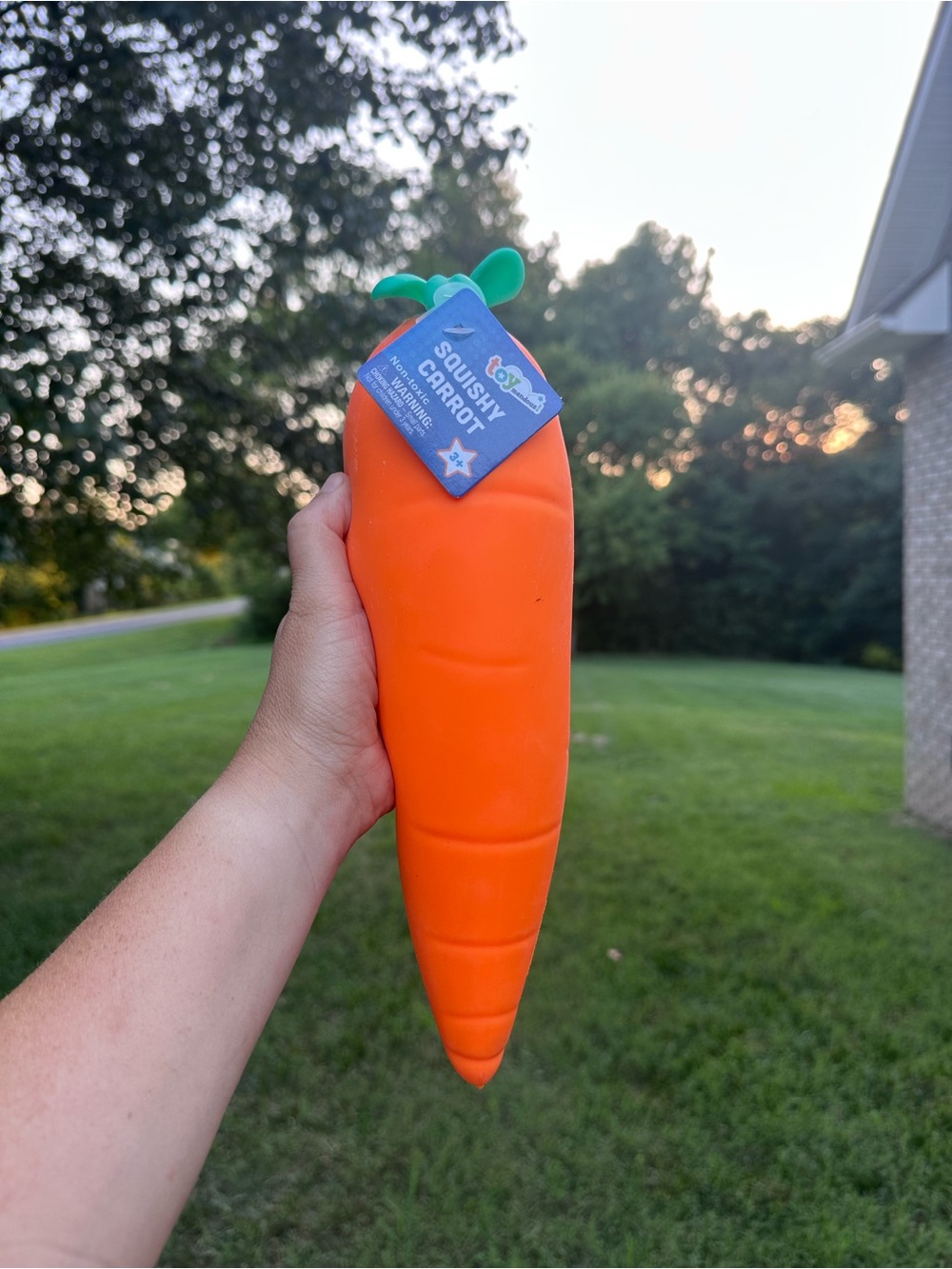 New Jumbo Carrot Squish Toy - Sunny Days Toymendous Sensory Squishy